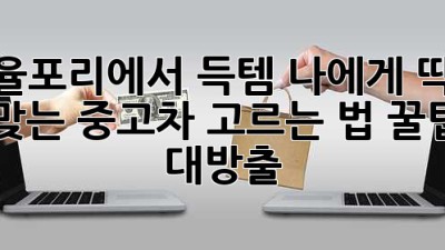 🚗 율포리에서 득템! 나에게 딱 맞는 중고차 고르는 법 꿀팁 대방출! 🍯