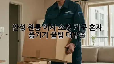 안성 원룸 이사, 소형 가구 혼자 옮기기? 꿀팁 대방출!